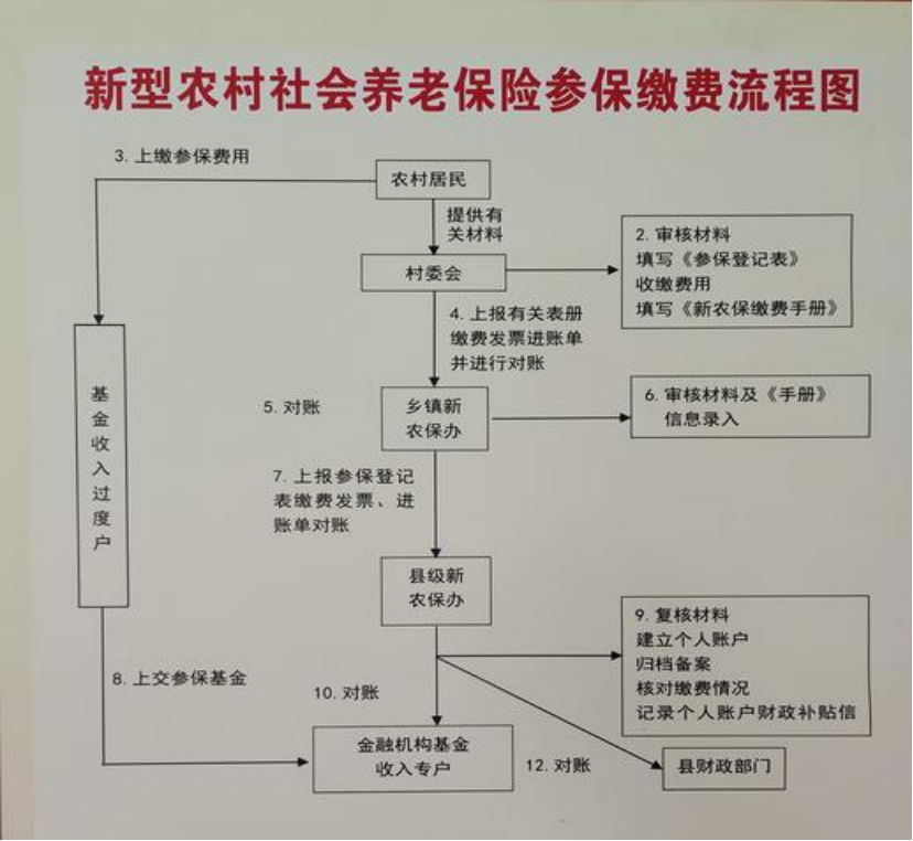 池州农村医保和社保有什么区别(农村医保跟社保的区别)